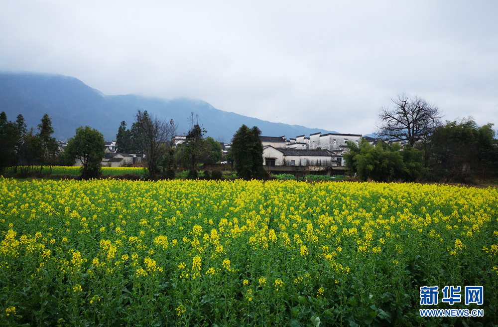 安徽：江南烟雨天 南屏花似海