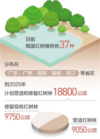 到2025年，中国将营造和修复红树林18800公顷