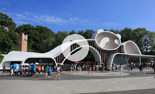 A Visit to the Homeland of Pandas 3：Knowledge about Giant Pandas_fororder_熊猫第三集