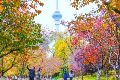 北京市屬公園推18處賞葉景點
