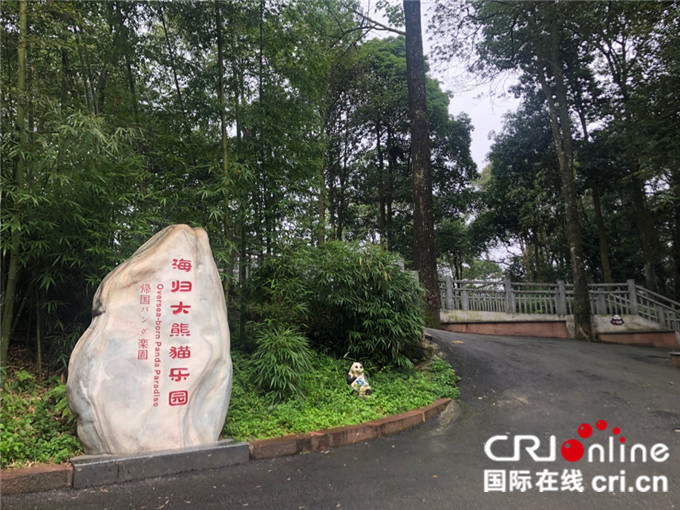 带你一起去看“海归”大熊猫的快乐天地！_fororder_中国大熊猫保护研究中心雅安碧峰峡基地海归大熊猫乐园
