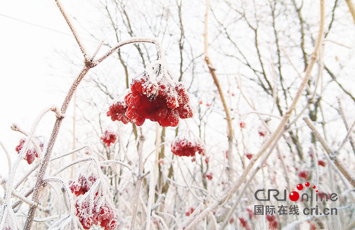 01【吉林】【原創】【CRI看吉林（標題）】【圖説吉林】【白山松水（大圖375 210）】【關東黑土（長春）】【移動版（圖）】長春伊通河畔現霧凇美景