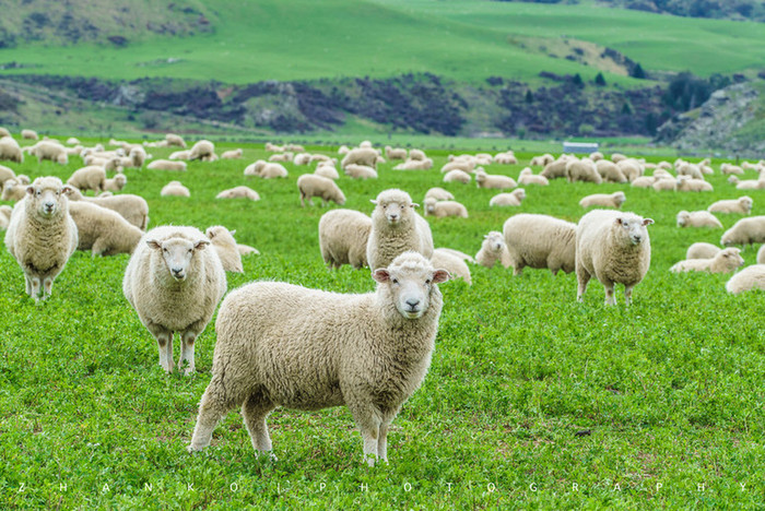중국인들에게 '점령'되고 있는 이곳은....