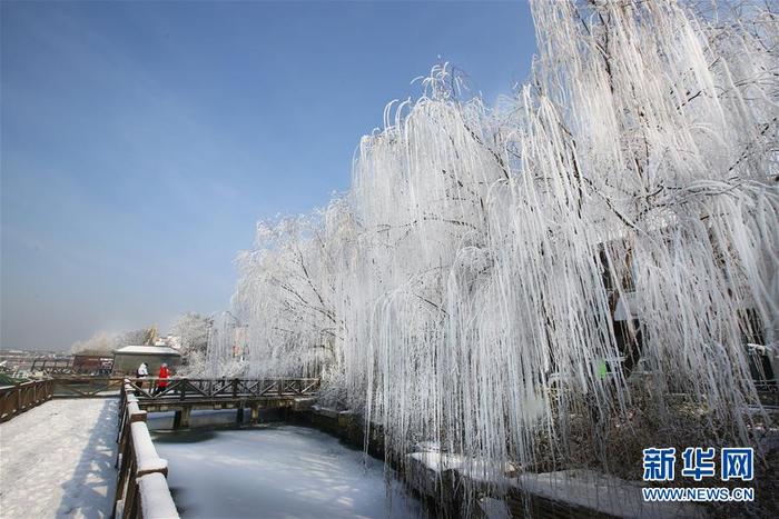 图片默认标题_fororder_CqgNOl4X60KAOwhGAAAAAAAAAAA584.899x599