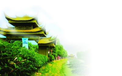 （旅游图文）江苏南京十年打造万亩葡园 年总产值上亿元