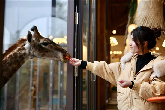 （有修改）（B 文旅列表 移動版）湖州長頸鹿莊園邀請江蘇遊客體驗和諧之旅