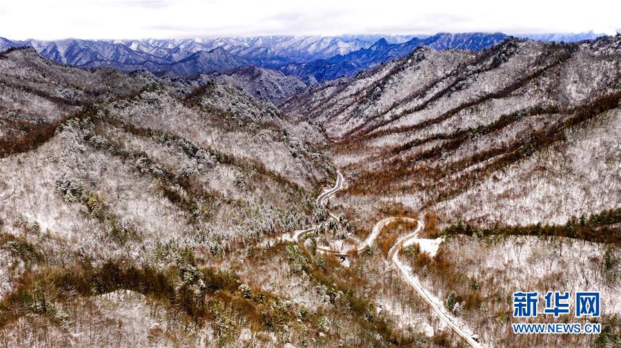 秦岭初雪