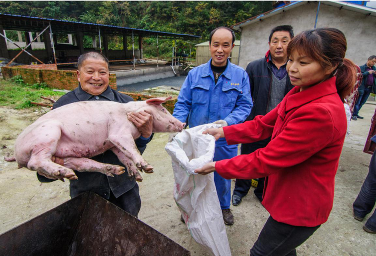 【有修改】陜西漢中：勠力同心拔窮根 砥礪前行奔小康