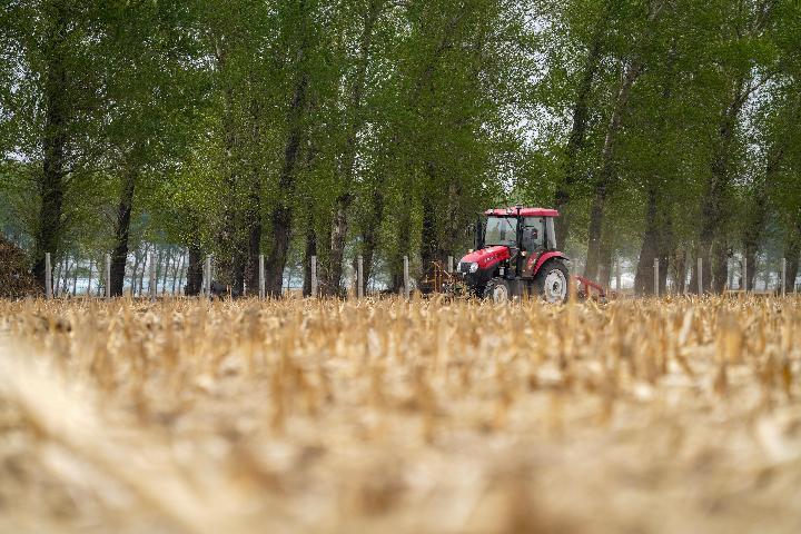 国际观察丨2020不是1918，新冠疫情如何影响世界