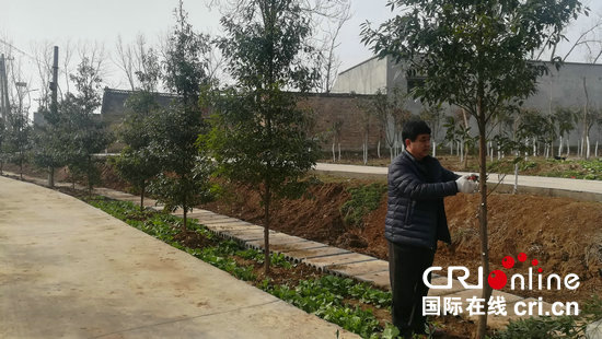 【河南在線-文字列表】【移動端-文字列表】河南魯山縣堯場村:駐村單位攜手愛心人士扮靚貧困村