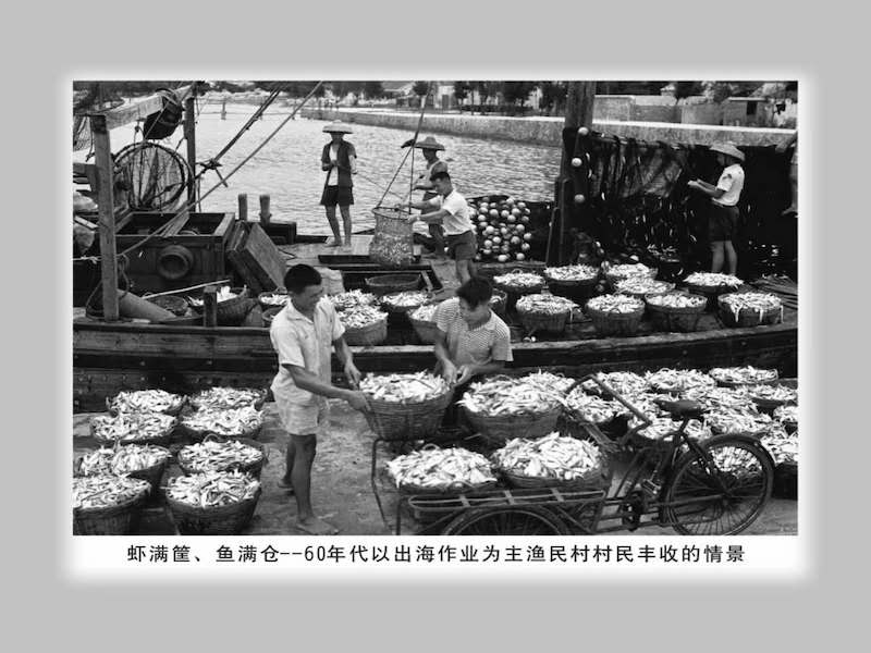 圖片默認標題_fororder_上世紀60年代，漁民村蝦滿筐魚滿倉豐收景象