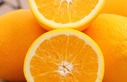 2017年埃及对中国鲜橙出口额接近1亿美元，已成为中国第三大鲜橙进口来源国。_fororder_橙子