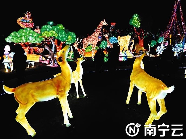 青秀山迎新春大型灯展周五登场 持续至3月1日