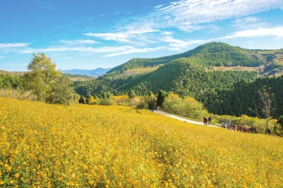 图片默认标题_fororder_4