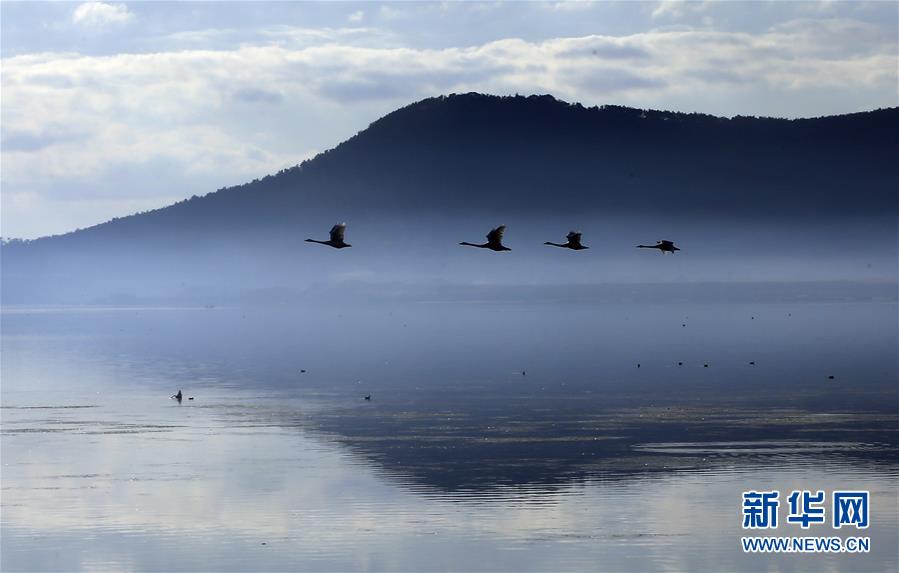 山东荣成：天鹅湖景美如画
