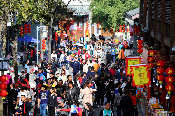 夷陵菊花展人氣火爆 開幕三天遊客量逾27萬