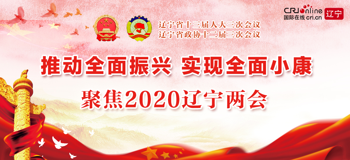 聚焦2020辽宁两会_fororder_089