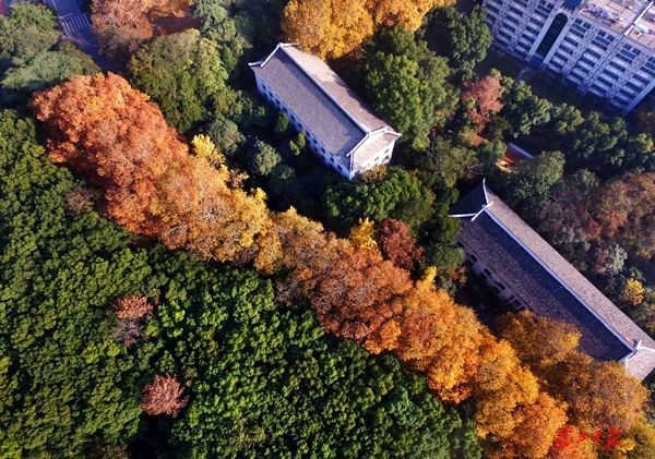 图集：武大迎来125岁生日 秋色撩人正当时