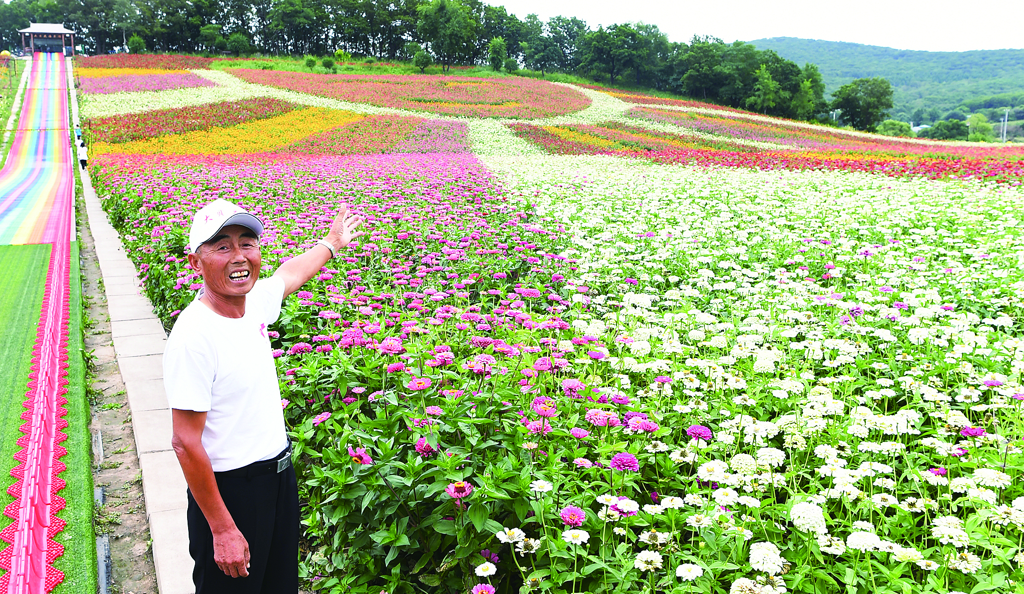 長春市九台區：絢爛花海綻放致富笑臉