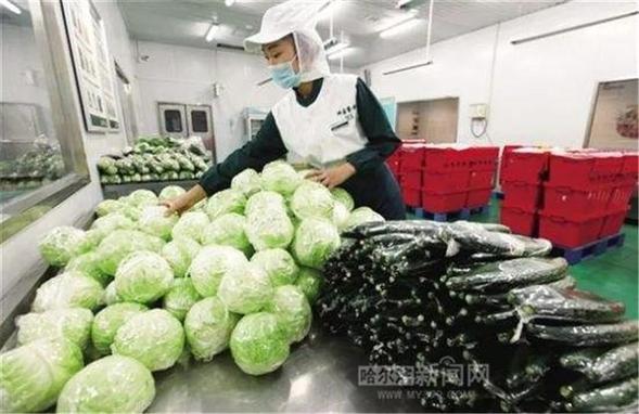 尚志市47個重點項目“扎堆”啟動 尚志市47個重點項目“扎堆”啟動