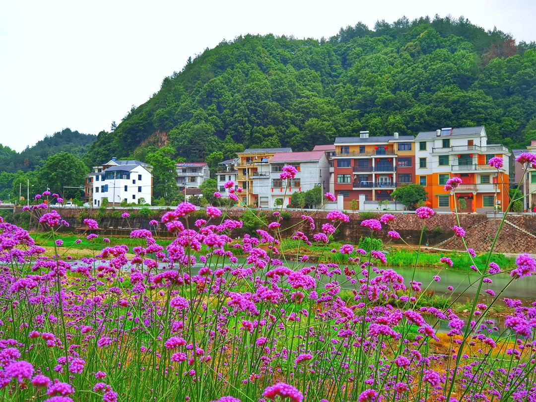 一村十景，仙源深处唐风古村——安地村