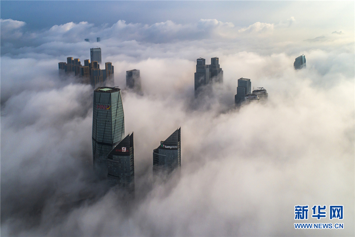 청도 부산만의 선경같은 移流霧 경관_fororder_2