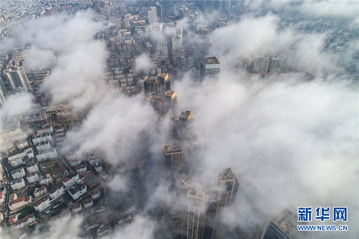 청도 부산만의 선경같은 移流霧 경관_fororder_6