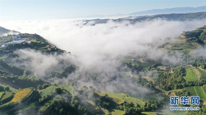 감숙 동향의 그림같은 梯田 운무 풍경_fororder_titian-2