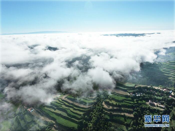 감숙 동향의 그림같은 梯田 운무 풍경_fororder_titian-3