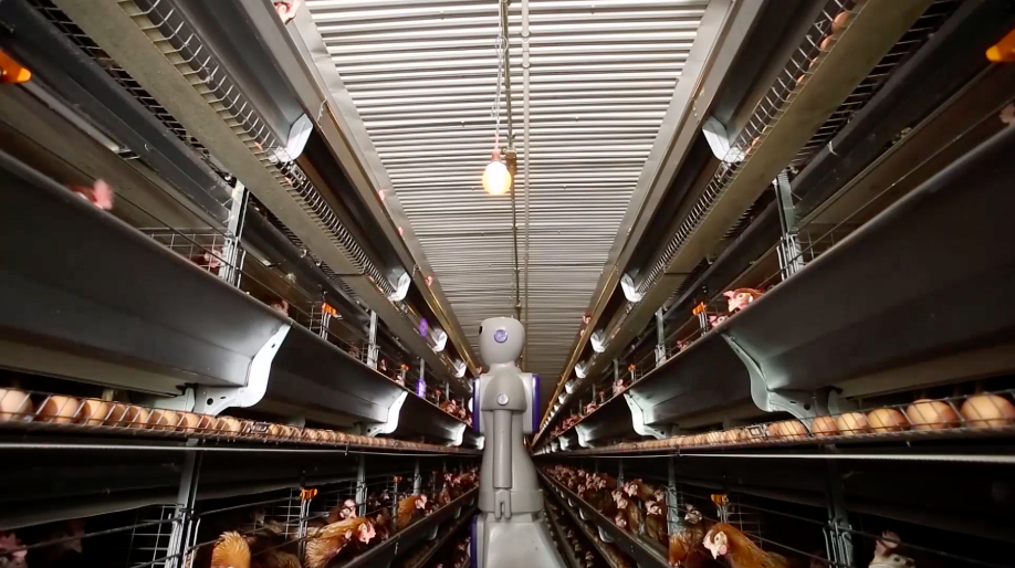 深圳特区40年·外企看中国丨中国大陆“0001号”外企：始终看好中国经济