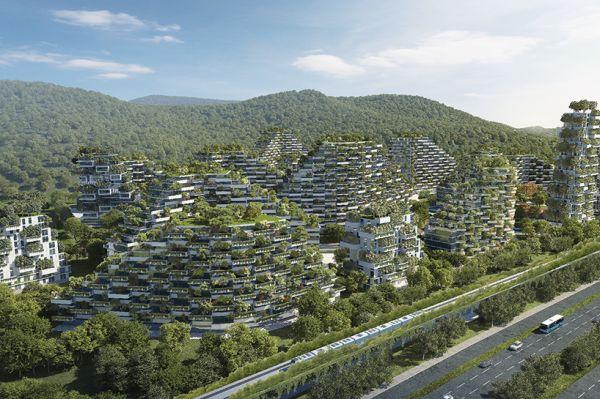 中国将建首座森林城市 3万人可呼吸最纯净空气