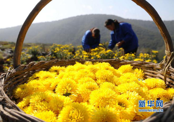 CNN认为中国人不能缺少的18种饮品竟是这些？