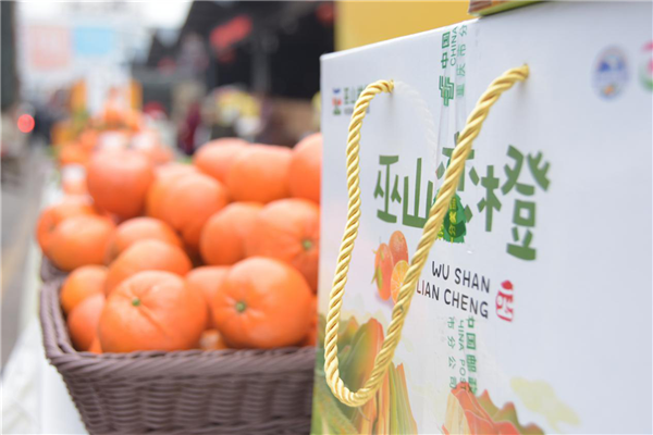 【吳總同意】【重慶】重慶巫山戀橙消費扶貧産銷對接會成功舉辦