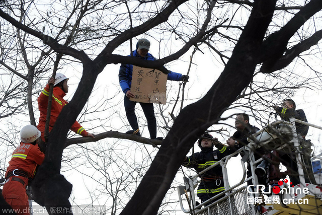 北京一男子卖肾不成在医院门前树上呆三小时