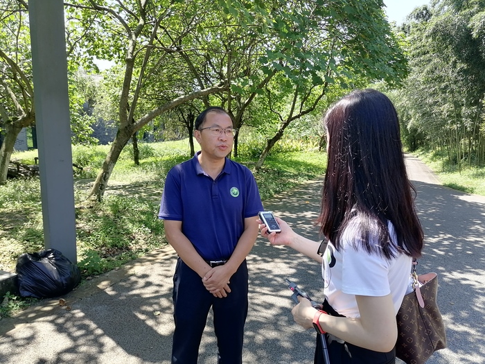 러바오와 아이바오의 본가--두장옌판다기지 방문기(1)_fororder_魏榮平 微信图片_20200827081527