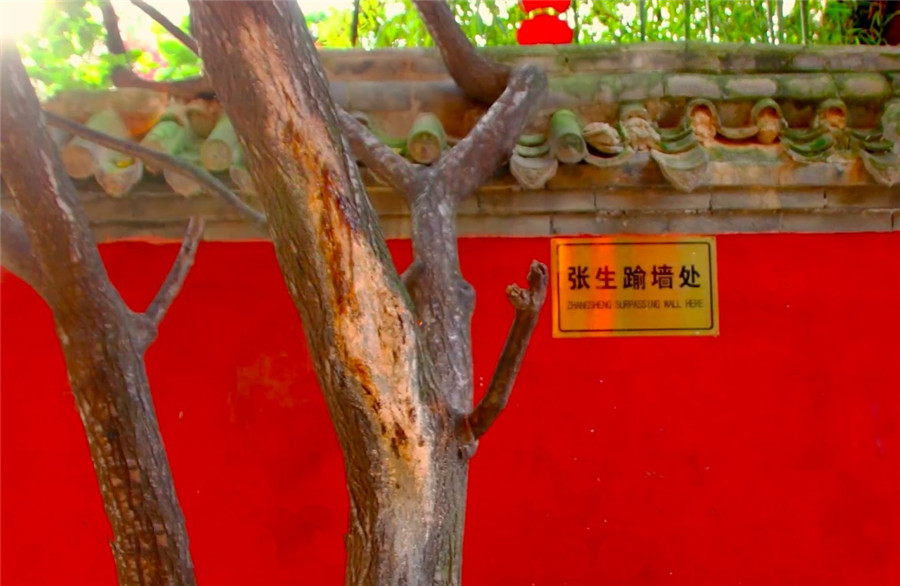 圖片默認標題_fororder_圖：張生翻墻處