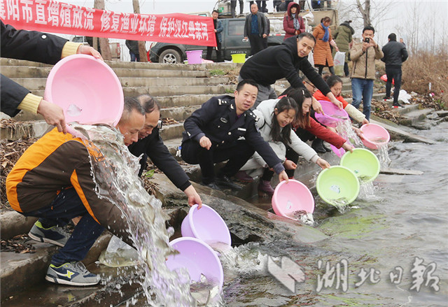 漢江增殖放流2100萬尾魚苗