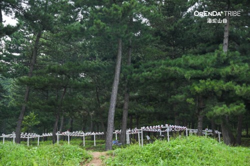 聆听海坨独家现场 | 海坨山谷艺术季，自然X艺术跨界首秀