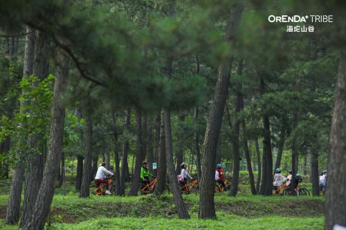 聆听海坨独家现场 | 海坨山谷艺术季，自然X艺术跨界首秀