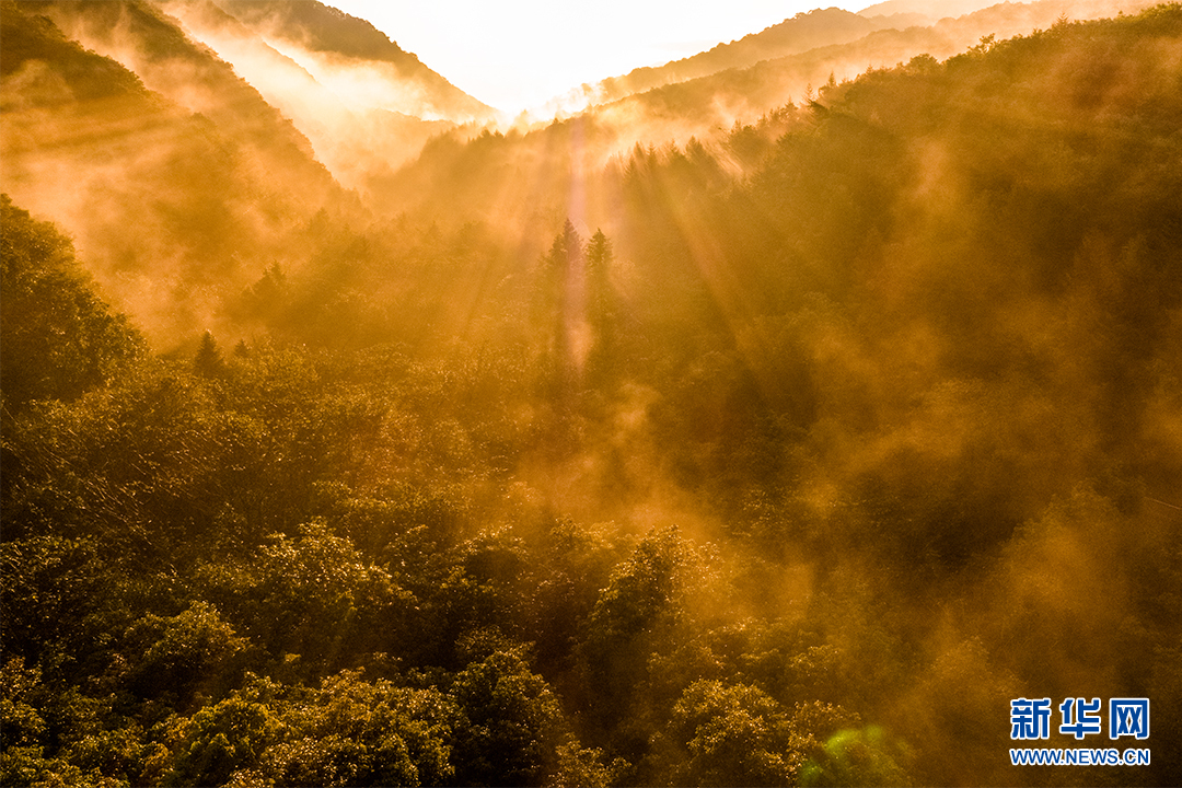 航拍神农架绚丽秋景 大地如同调色盘