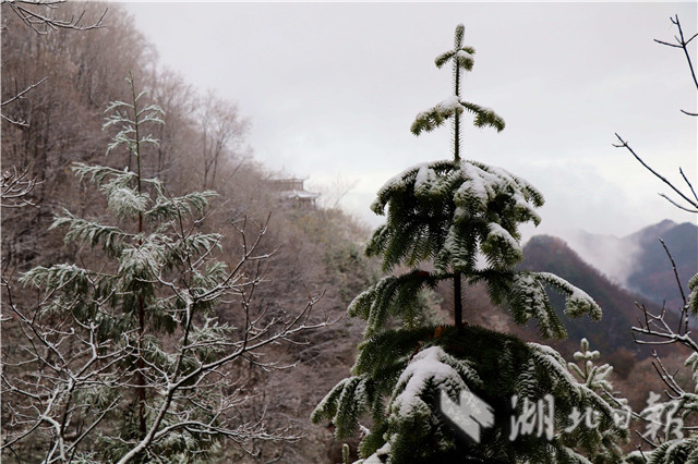 保康降下今秋首场降雪