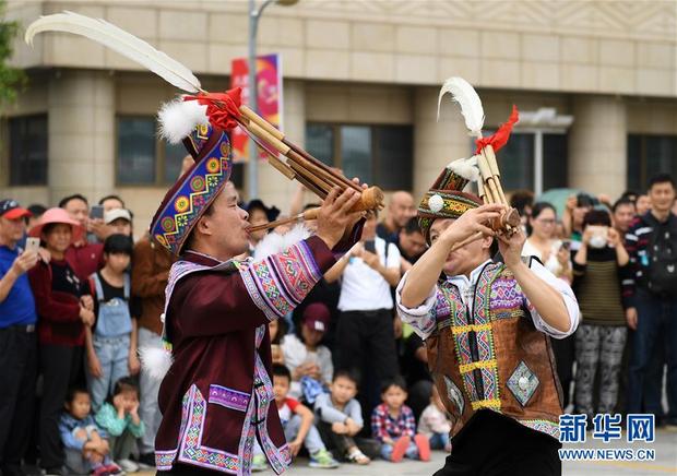 和睦相處一家親 攜手並進謀發展——廣西民族團結發展觀察