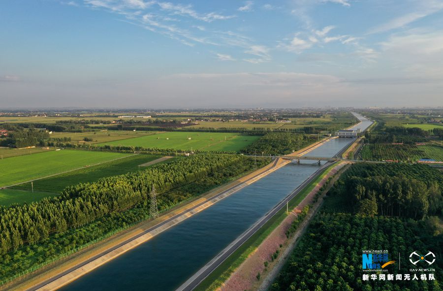 【城市远洋】河南温县：秋日田园风光美