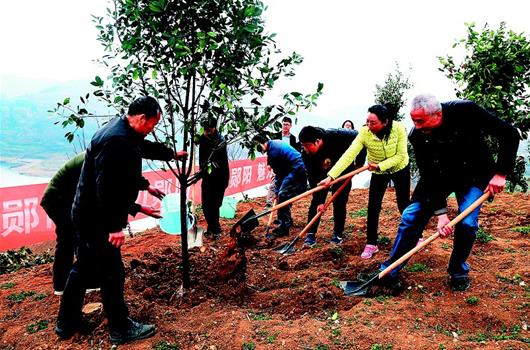 十堰80億元植綠護綠保一庫清水送北方