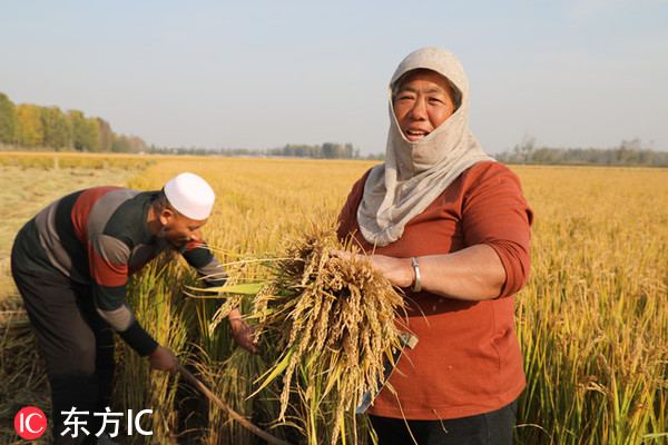 图片默认标题_fororder_回族-2