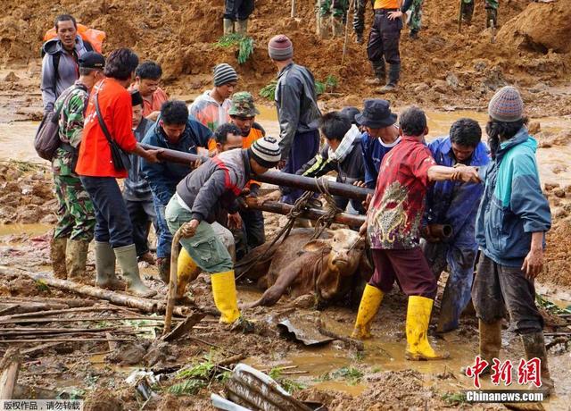 印尼泥石流致12人丧生 近百人失踪