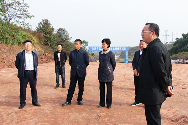 自贡市委常委,组织部长刘敏到沿滩区调研督导重大项目工作