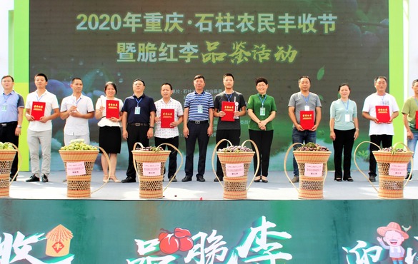 【有修改】【B】2020重慶石柱農民豐收節暨脆紅李品鑒活動正式開幕
