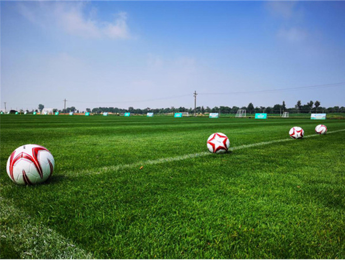 중화인민공화국 제14회 운동경기대회, 산시(陝西) 따리(大茘)현의 경제도약에 일조_fororder_20200828zuqiu-1