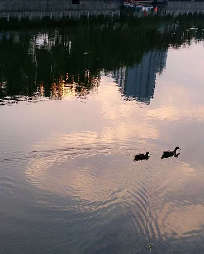 9月8日　火曜日_fororder_0905平文智